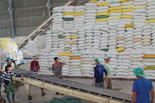 EU công bố hạn ngạch nhập khẩu nông sản và gạo Việt Nam theo EVFTA