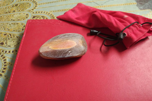 Chiếc sừng tê giác và bí mật hàng trăm năm