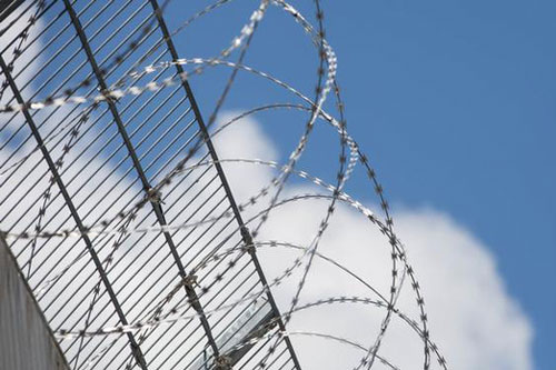 Từ kẻ sát nhân trở thành thiên tài toán học