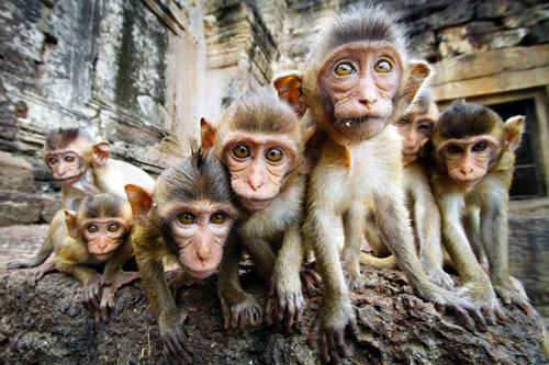 May mắn 'ập' đến, 4 con giáp này dễ 'đổi đời' trúng lớn, giàu có hết phần thiên hạ trong 3 ngày cuối tháng 5 Âm lịch