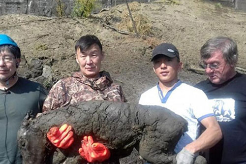 Băng tan sâu 30,48m trơ xác ngựa quý 40.000 năm tuổi