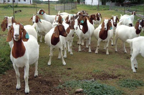 'Thần Tài ban thưởng', 3 con giáp dễ 'hốt bạc' về nhà, đếm tiền mệt nghỉ trong 2 ngày cuối tuần này