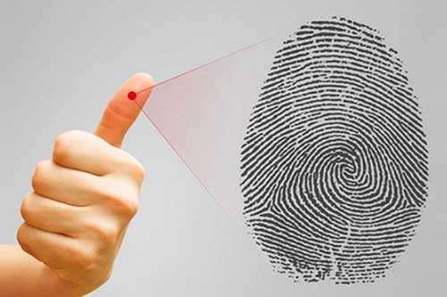 Bỏ 10 giây xem hoa tay, có thể biết ai hưởng số sướng, giàu sang hết phần thiên hạ