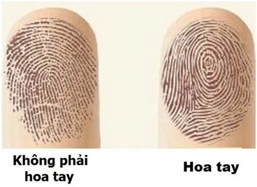 Cách nhận biết hoa tay.