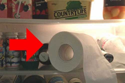 Để 2 cuộn giấy vệ sinh vào tủ lạnh, bạn sẽ ước mình biết mẹo này sớm hơn