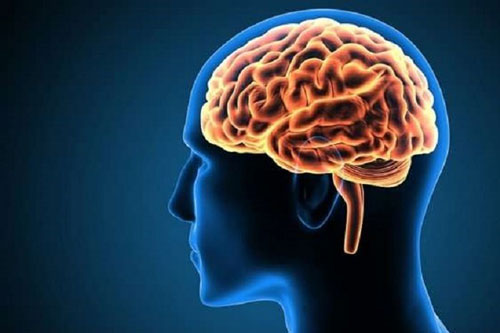 Kỳ lạ về bộ não con người