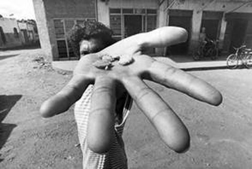 Cuộc đối đầu không khoan nhượng trong vùng Amazon