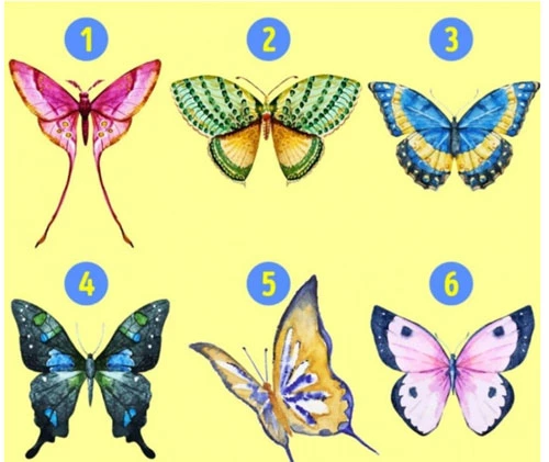 Bạn hãy chọn một cánh bướm!