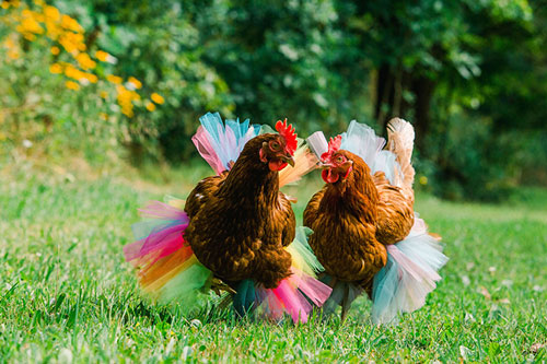 'Lộc trời rơi xuống’, 3 con giáp này dễ gặp may mắn đủ đường, tiền về như nước trong 3 tháng tới