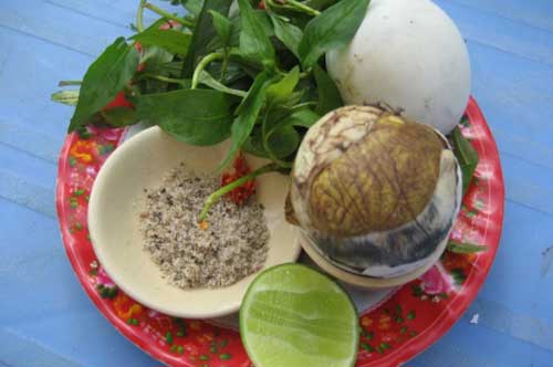 Bạn có biết rằng ăn trứng vịt lộn thời điểm này còn hơn dùng nhân sâm thuốc bổ vạn lần