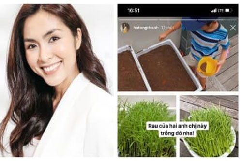 Nhóc tỳ nhà Hà Tăng vẫn giản dị theo mẹ trồng rau muống dù sống trong nhung lụa