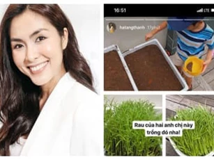 Nhóc tỳ nhà Hà Tăng vẫn giản dị theo mẹ trồng rau muống dù sống trong nhung lụa