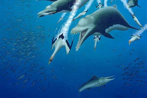 Phát hiện loài cá heo ăn thịt khổng lồ