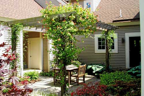 Không nên trồng cây này trong nhà để tránh điềm gỡ, vận đen kéo đến, gia đình hay bất hoà