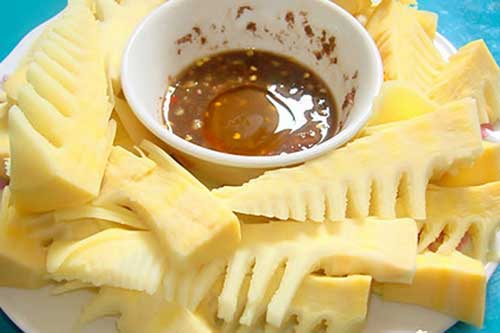 Măng tre chính là "thần dược" cho sức khoẻ mà ít ai biết để tận dụng