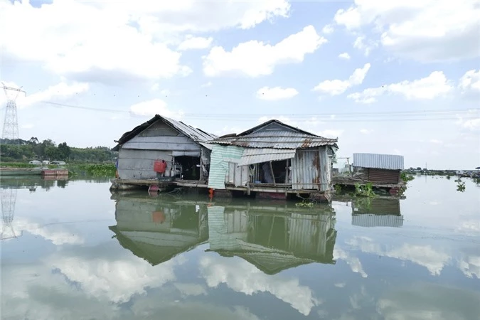 Hàng triệu con cá giống được thả xuống giữa lòng hồ thủy điện lớn nhất miền Nam - Ảnh 8.