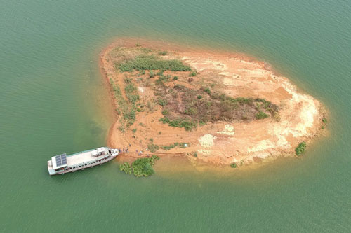 Hàng triệu con cá giống được thả xuống giữa lòng hồ thủy điện lớn nhất miền Nam