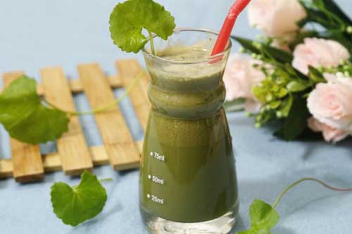 Những sai lầm khi uống nước rau má giải nhiệt bổ đâu không thấy, chỉ thấy toàn bệnh vào người