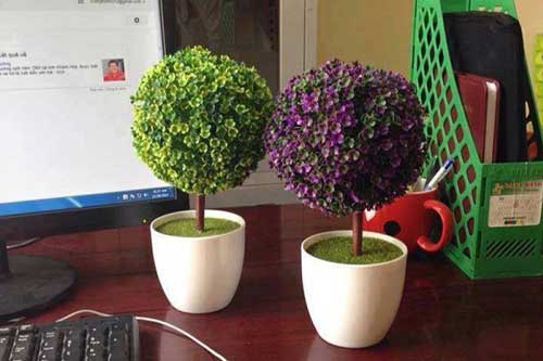 Nếu không muốn sự nghiệp lụi tàn thì không nên đặt 5 thứ này trên bàn làm việc