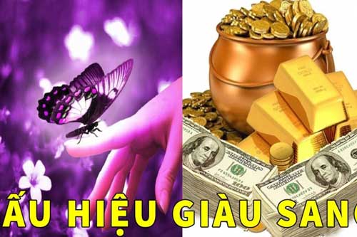 Những dấu hiệu thần Tài "gõ cửa", may mắn ghé thăm