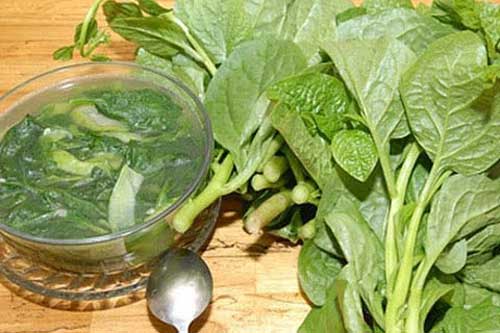 Sai lầm nghiêm trọng khi ăn mùng tơi bạn buộc phải bỏ ngay