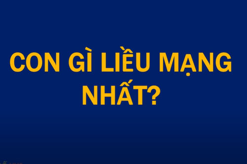 Câu đố mẹo khiến nhiều người "rối não" vẫn không thể tìm ra đáp án