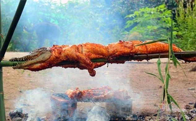 Vốn 10 triệu, cậu học sinh lớp 12 buôn thịt cá sấu lãi 50 triệu/tháng