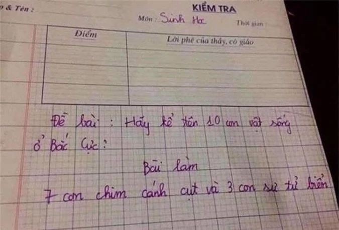 Cô giáo hỏi &quot;kể tên 10 con vật sống ở Bắc Cực&quot;, học sinh trả lời khiến ai cũng phải ôm ruột cười bể bụng - Ảnh 1.