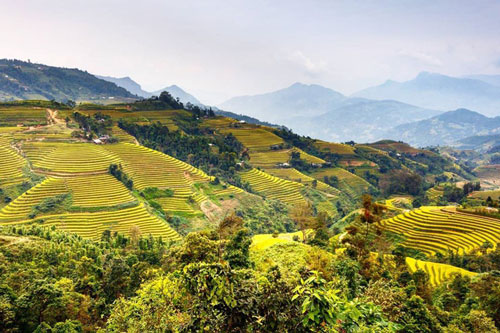 Sa Pa, Ninh Bình vào top 14 điểm đến châu Á