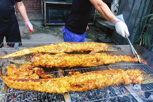 Chỉ bỏ ra 10 triệu, cậu học sinh lớp 12 buôn thịt cá sấu lãi 50 triệu/tháng