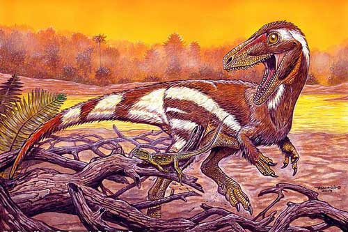 Khai thác đá, đụng độ tổ tiên "quái thú" không cánh và hung ác của loài chim