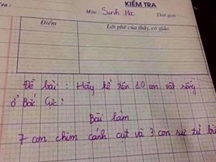 Cô giáo hỏi "kể tên 10 con vật sống ở Bắc Cực", học sinh trả lời khiến ai cũng phải "cười bể bụng"