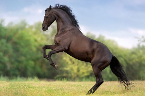 'Thần Tài báo mộng', 3 con giáp này dễ gặp may mắn đủ đường, tiền bạc ‘chất cao như núi’ đúng vào ngày 1/6 Âm lịch