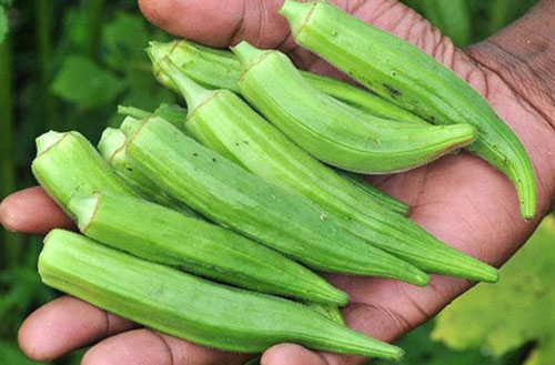 Không chỉ ngon và rẻ, đây còn là 'thần dược' chữa 'bách bệnh' bạn không nên bỏ qua