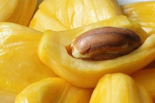 Bị những bệnh này đừng tốn tiền mua thuốc tây dùng hạt mít tốt và nhanh khỏi hơn