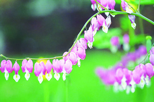 Nuốt nước mắt khi vợ hạnh phúc trong tay người khác