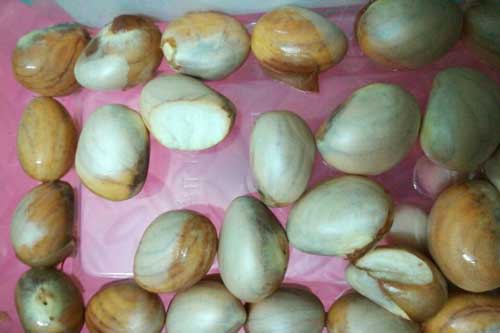 Lợi ích không ngờ từ loại hạt mà nhiều người Việt vẫn vứt đi, vô tình ném bỏ "thần dược" vào thùng rác