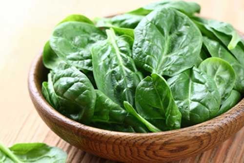 Không muốn rước bệnh vào người các đối tượng này tuyệt đối không nên ăn rau mùng tơi