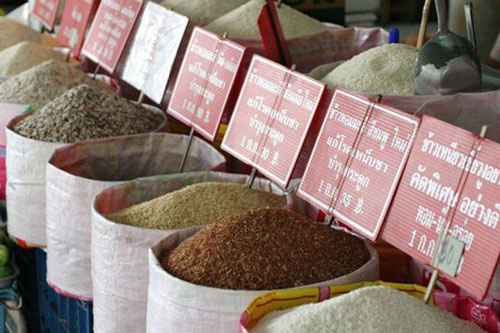 Lượng xuất khẩu gạo của Thái Lan có thể sẽ xuống thấp nhất 10 năm