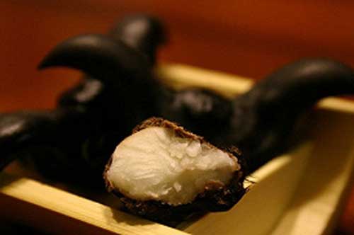 "Thần dược" giúp cả đời khỏe mạnh - "trường sinh" mà người Việt đang thờ ơ ném bỏ