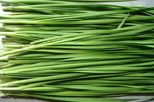 Lá hẹ: "Tiên dược" cho mọi đàn ông ai cũng nên "bỏ túi"