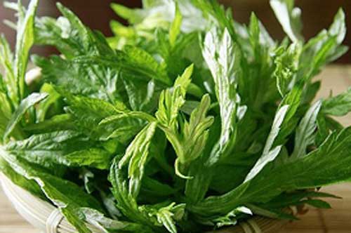 Bài thuốc trị đau lưng đơn giản mà hiệu quả vô cùng với nguyên liệu chỉ vài nghìn đồng