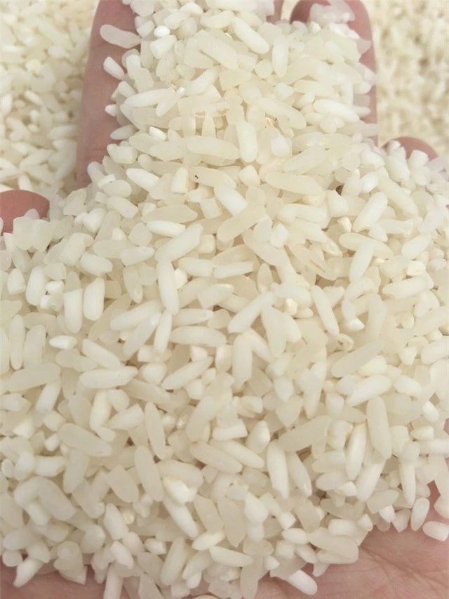 Nhà giàu Hà Nội đặt mua cả trăm cân gạo Séng Cù ăn dần - 3