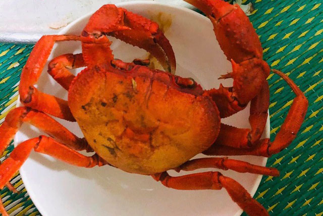 Chán cua biển, cua đồng, giới nội trợ lùng mua cua đá núi