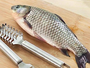 Không cần dùng nhiều thứ để khử mùi, loại bỏ 5 điểm này trên mình cá, mùi tanh chẳng còn