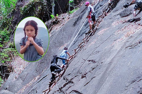 Sao nhí leo thang cây đóng 'Đỉnh Mù Sương'