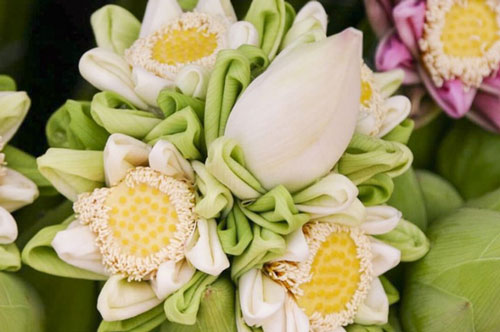 Những cách gấp cánh hoa sen vừa dễ lại còn siêu đẹp, chị em nên học để trang trí khiến mẹ chồng thích mê