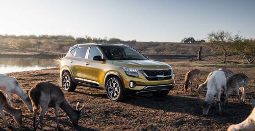 So sánh hai tân binh phân khúc xe gầm cao cỡ nhỏ Toyota Corolla Cross và Kia Seltos mới 