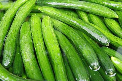 Dưa chuột chính là "thần dược" cho sức khoẻ mà nhiều người không ngờ tới