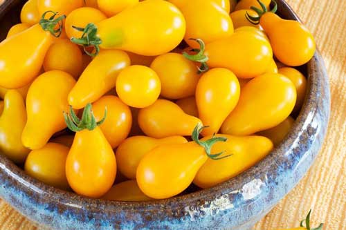 Cách trồng cà chua lê, ớt nhiều màu lạ mắt ngay tại nhà